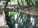 西区西山町に湧き、毎分1tの豊富な湧水は東神田川の水源となっています。浜松の都市部にもある数々の湧水池の代表。神社境内には、絶滅危惧種に指定されているキンランが自生しています。