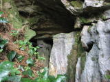 石灰岩地帯にあり、「水平天井」が珍しい鍾乳洞。『静岡県の湧き水100』に選ばれた美味しい天然水も湧いています。