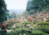 県下最古の梵鐘と鎌倉期の馬頭観音が伝えられる長楽寺の、小堀遠州作の名園。約200株のドウダンツツジが、春には白い小花を咲かせ、秋には紅葉し、四季折々の美しさで彩ります。