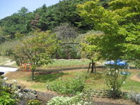 モザイカルチャー世界博2009