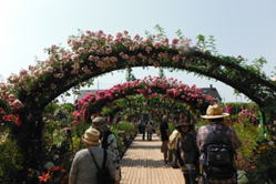 花博見学