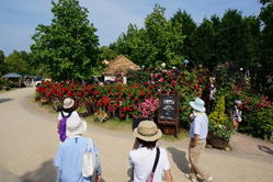花博見学
