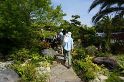 花博見学